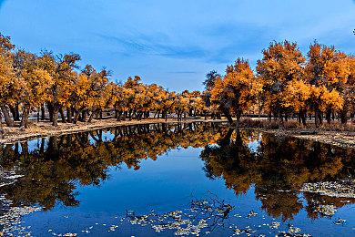 性感舞娘找茬游戏《狐的归途》新春登陆Switch